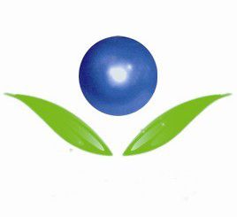 Company icon