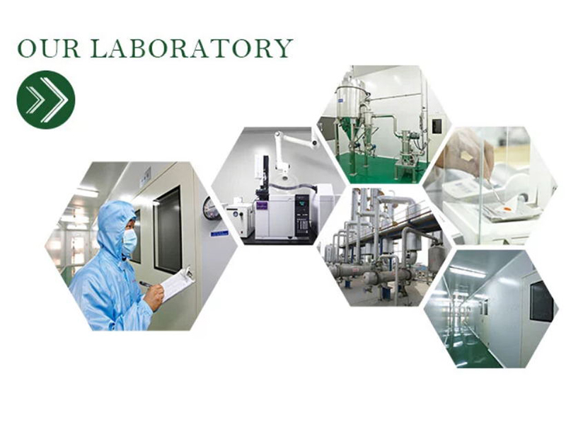 Shijiazhuang Mates Technology Co., Ltd. Zinc Oxide