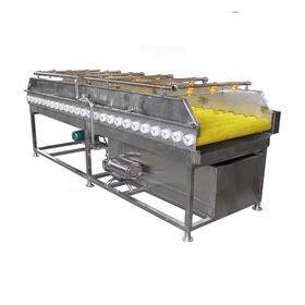 Automatic Brush fruit vegetable washing machine