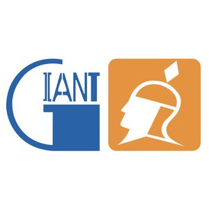 Company icon