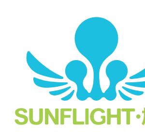 Company icon