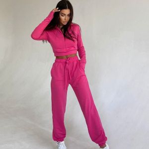 Distressed Patch Embroidered Sweatsuit Streetwear Joggers Flare Sweatpants And Hoodie Set Sun Fade Acid Wash Tracksuit For Women