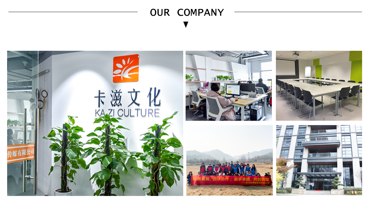 Hangzhou Kazi Culture Media Co., Ltd. Nail Gel Polish