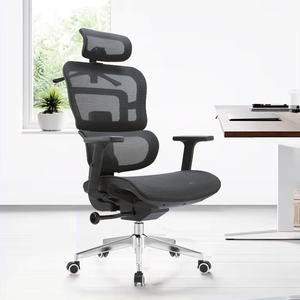 New Fashionable Mesh Ergonomic Chair Computer Office Chair Swivel Adjustable Task Chair
