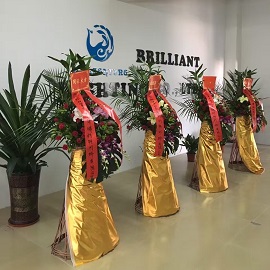 Zhongshan Brilliant Lighting Co., Ltd. Hotel Lighting