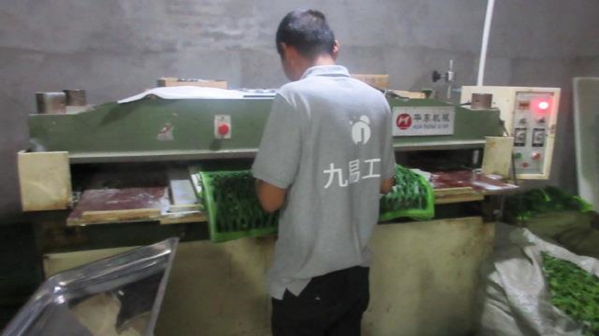 Zhumadian Jiuyi Industry and Trade Co., Ltd. Jar Candles