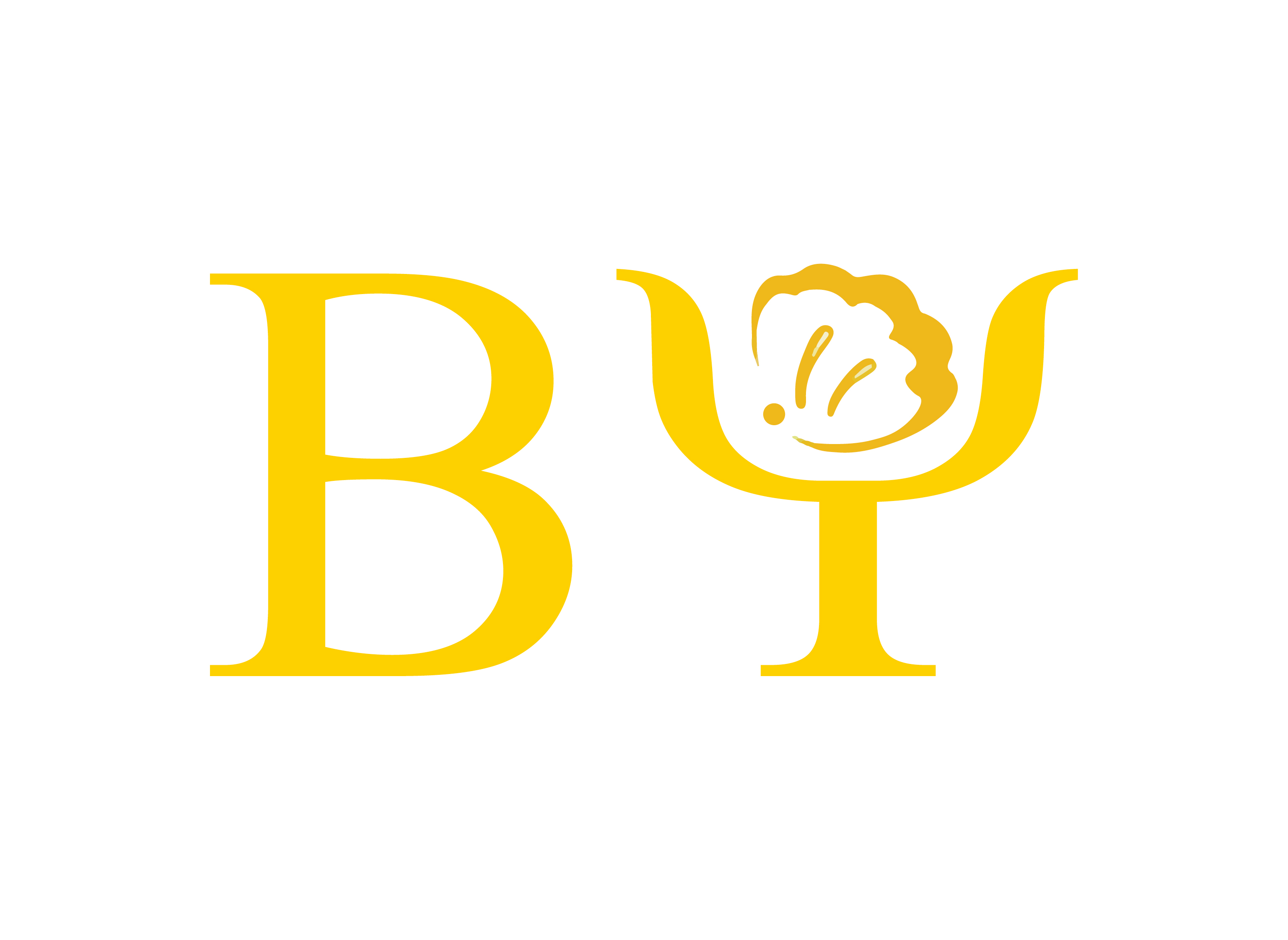 Huizhou Beiyi Trade Co., Ltd. logo