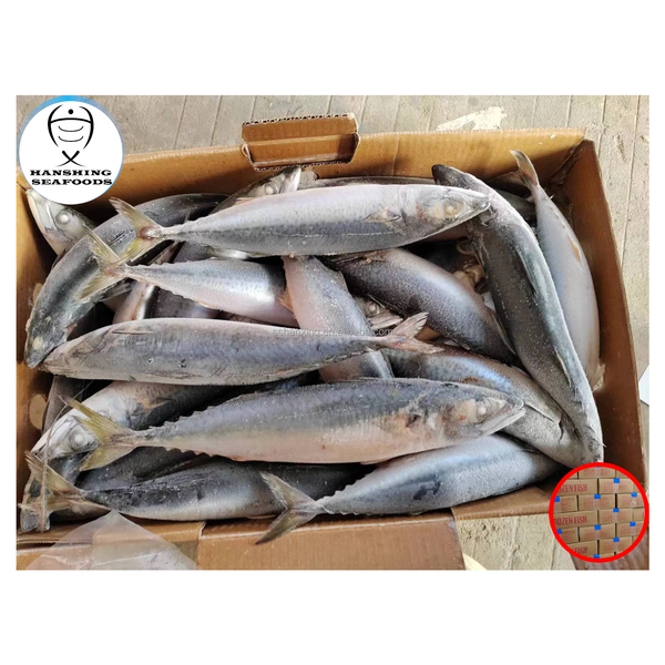 Hanshing High Quality Fresh Frozen Pacific Mackerel Fish at Low Wholesale Price Mackerel Fish
