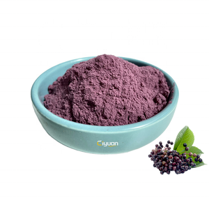 Ciyuan factory supply 10:1 20:1 elderberry fruit juice extract powder  natural supplement elderberry extract