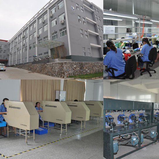 Yiwu Lanyu Outdoor Camping Equipment Co., Ltd. Magnifiers