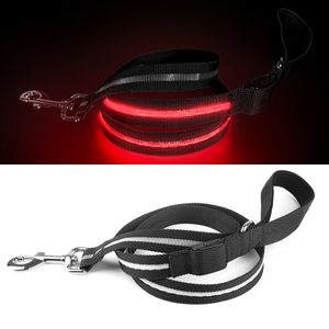 Wholesale Custom Night Safety LED Light Up Pet Leashes Rechargeable Flashing Dog Lead Strap Luminous Pet Safe LED Walking Leash