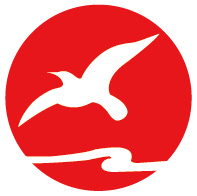 Zhongshan Flying Lighting Co., Ltd. logo