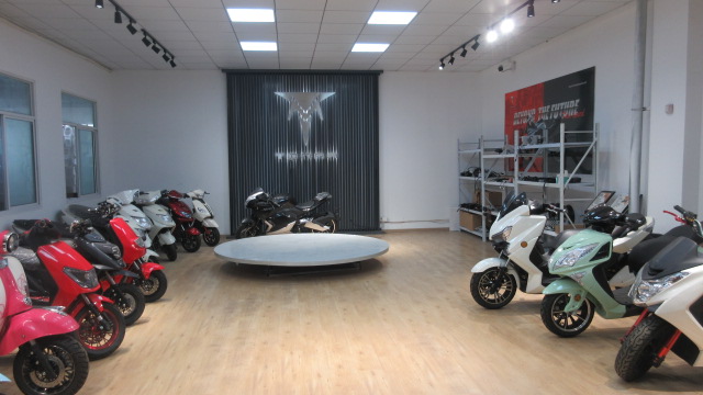 Wuxi Tonma Electric Vehicle CO.,LTD. Electric Bike