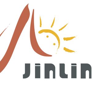 Company icon