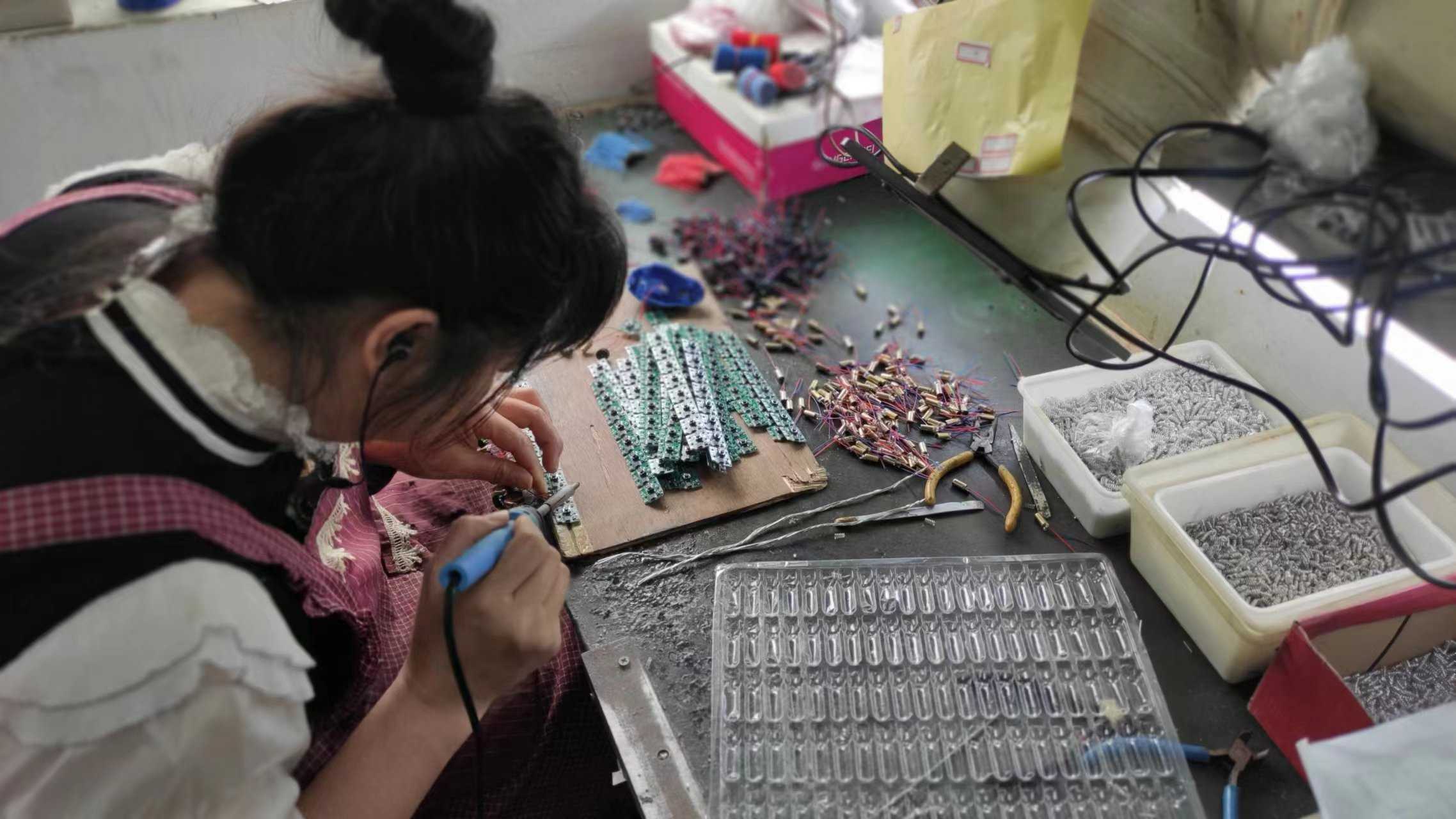 Wenzhou Evernew Trading Co., Ltd. Pet Toys