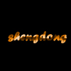 Shenzhen Shengdong Sports Goods Co., Ltd. logo