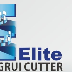 Company icon
