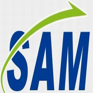 Company icon