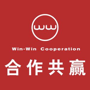 Company icon