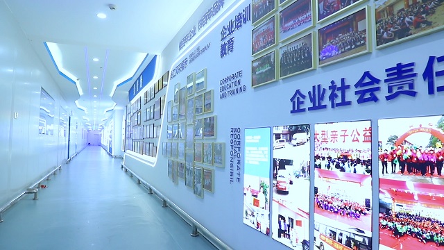 Hunan Jizhengdong Technology Co., Ltd, Facial Serum