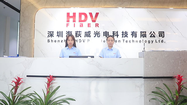 Shenzhen HDV Photoelectron Technology Ltd. factory image 3