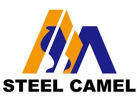 Company icon