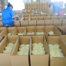 Hangzhou JC Industry Co., Ltd. Memory Foam Cushion