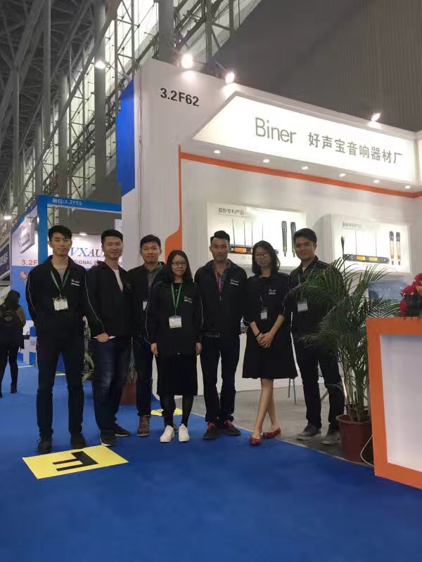 Shenzhen Depusheng Electronics Company Ltd. Wireless Microphones