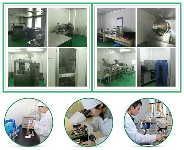 Jiangxi Global Natural Spice Co., Ltd. Essential Oils