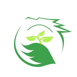 Company icon