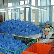 Sisters Co., Ltd. Shopping Bags