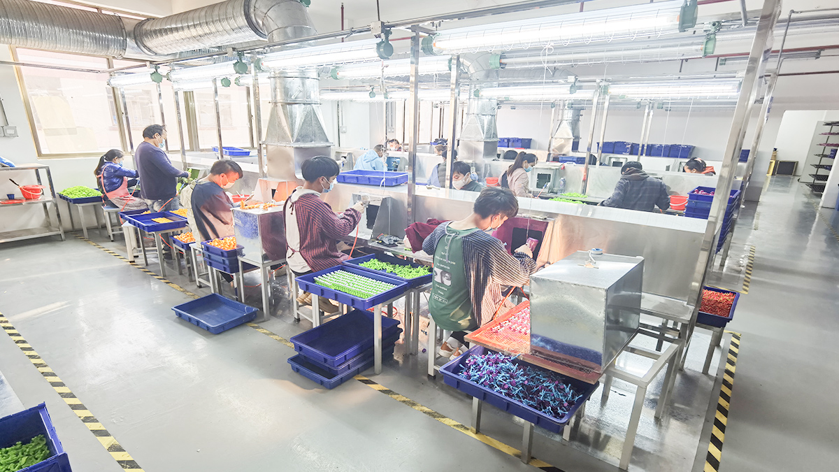 Shanghai Winnel Industrial Co., Ltd. PVC figures