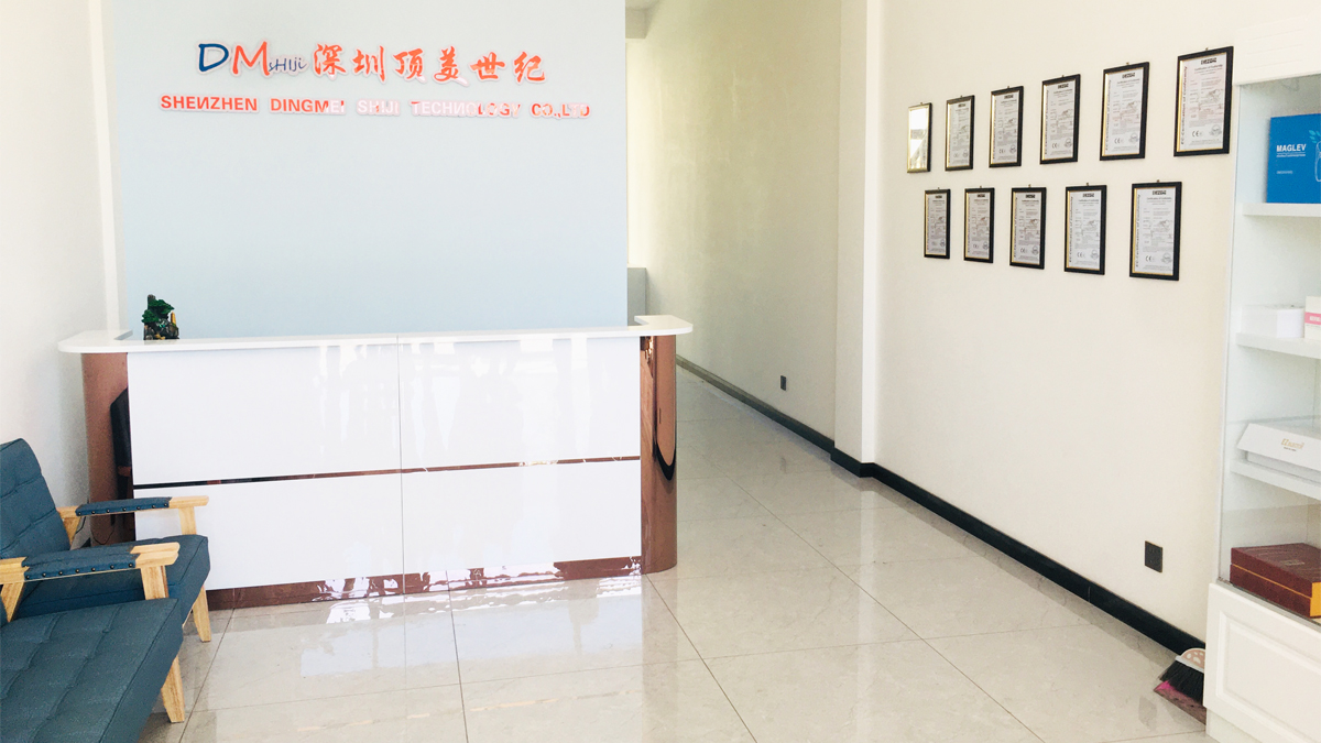 Shenzhen Dingmei Shiji Technology Co., Ltd. Derma Pen