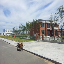 Yingkou Longsheng Industrial Co., Ltd. factory image 2