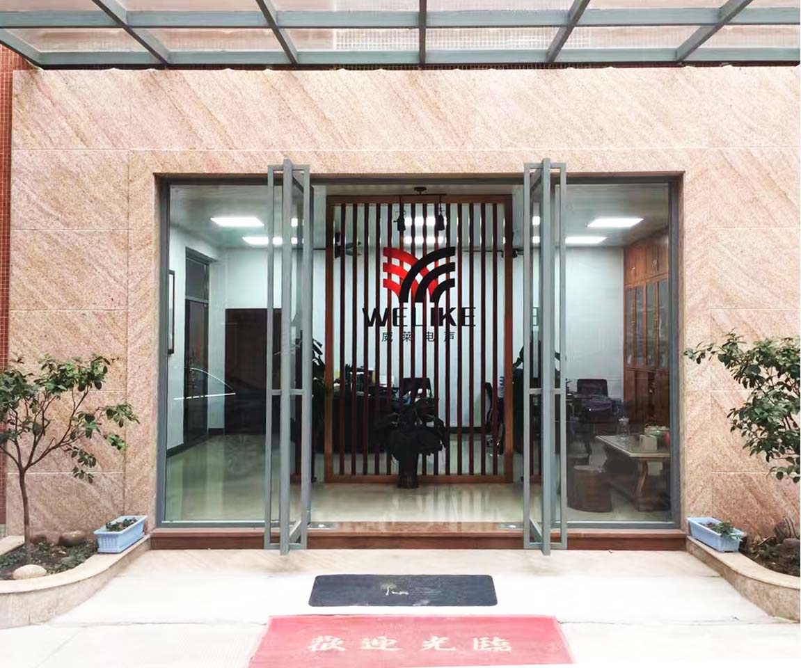 Guangzhou Welike Electroacoustic Co., Ltd. Woofer