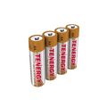 Alkaline Batteries