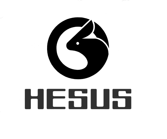 Dongguan Hesus Garment Co., Ltd. logo