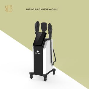 2024 hot sale face lifting ems facial beauty equipment for home 5 handles rf ems muscle body slimming rf machine