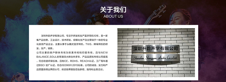 Shenzhen Shengyun Audio Co., Ltd. logo