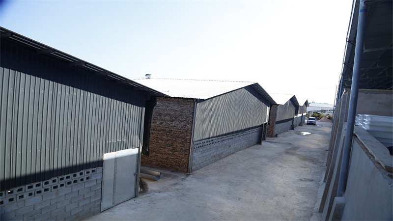 Shilin Hualai Preserved Flowers Ltd., Co. factory image 3