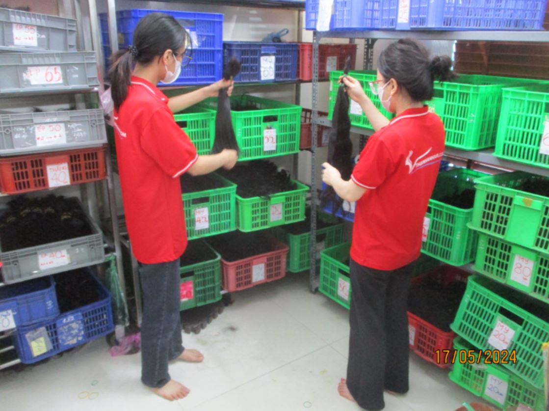 Thanh An Import Export Company Limited Bulk Hair