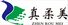 Company icon