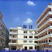 Ocean Spring & Metal Manufacturing Limited Compression Spring