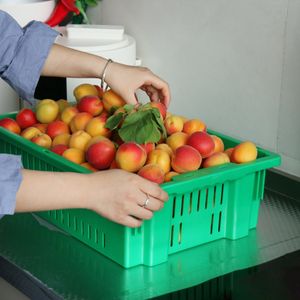 Plastic Fresh Vegetable Fruit Nestable Stackable Ventilated Storage Basket Logistic Harvest Mesh Moving Crates