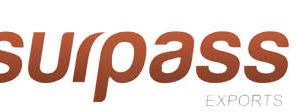 Company icon
