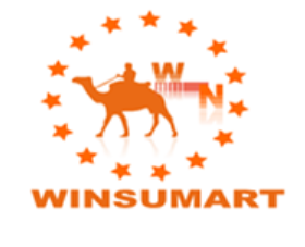 Anhui Winsumart Intelligent Technology Co., Ltd. logo