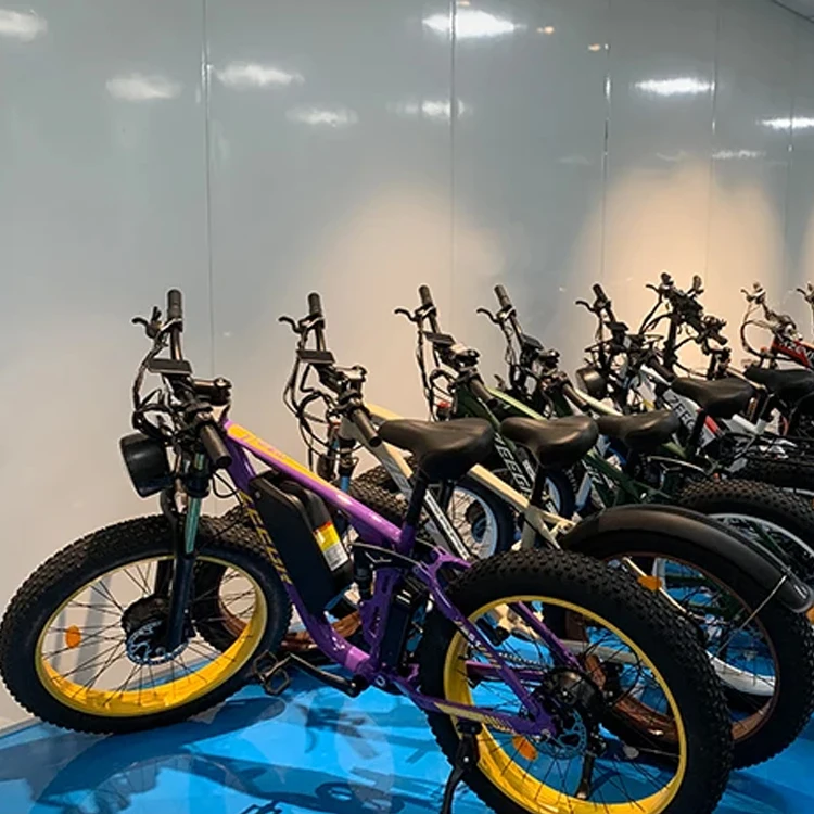 Shenzhen Yiruike Electronics Co., Ltd. electric bicycle motor