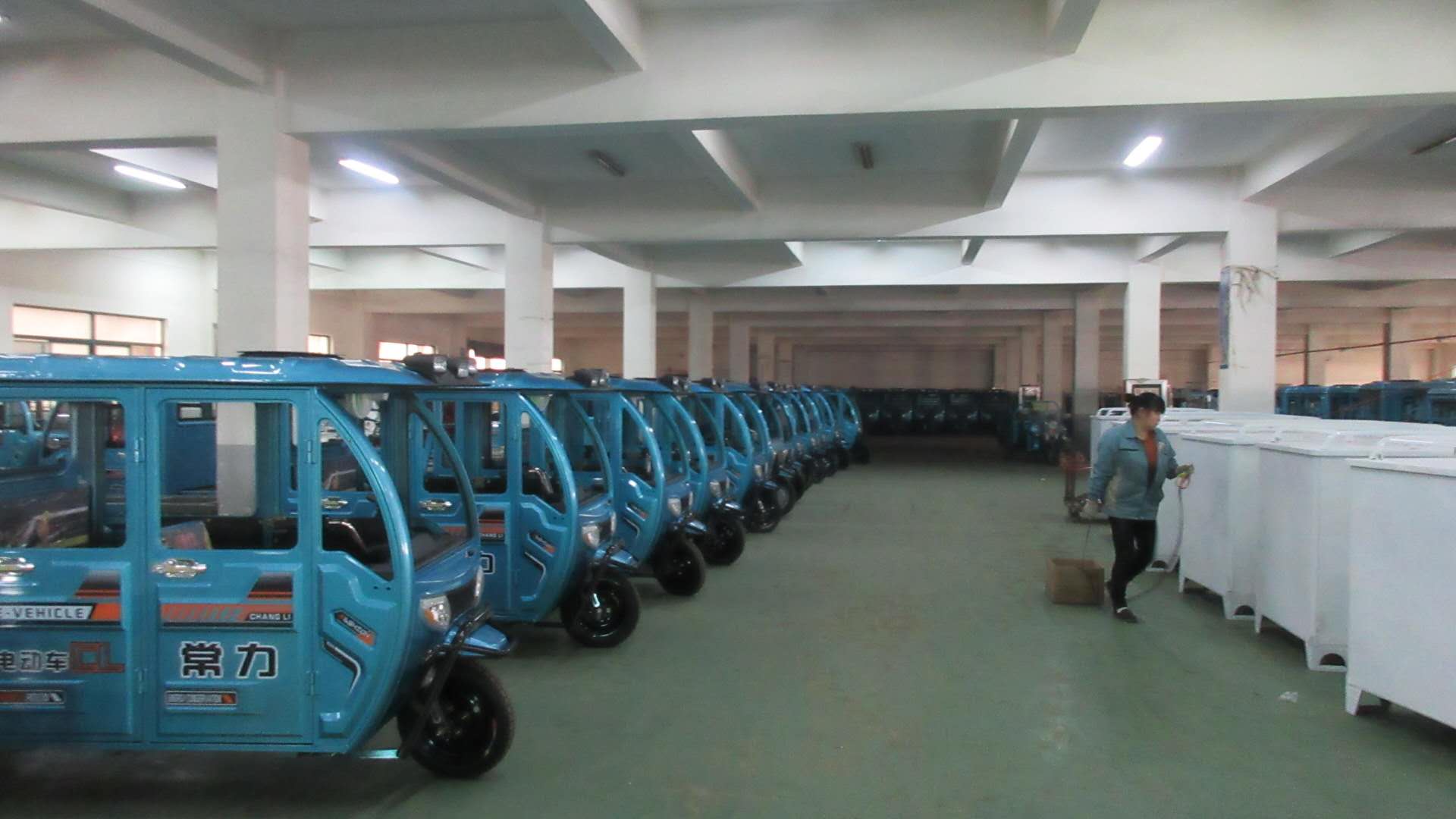 Jiangsu Ruipaiying Import and Export Co., Ltd. Electric Pickup Truck