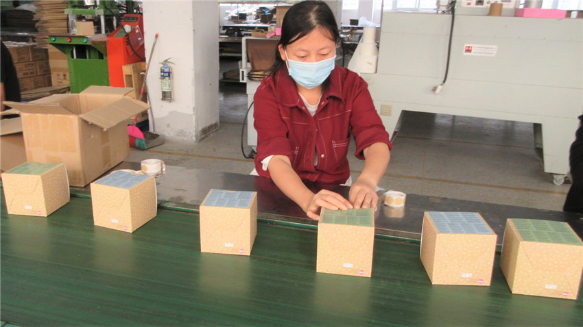 Plant Fun (Xiamen) Co., Ltd. Herb Kit