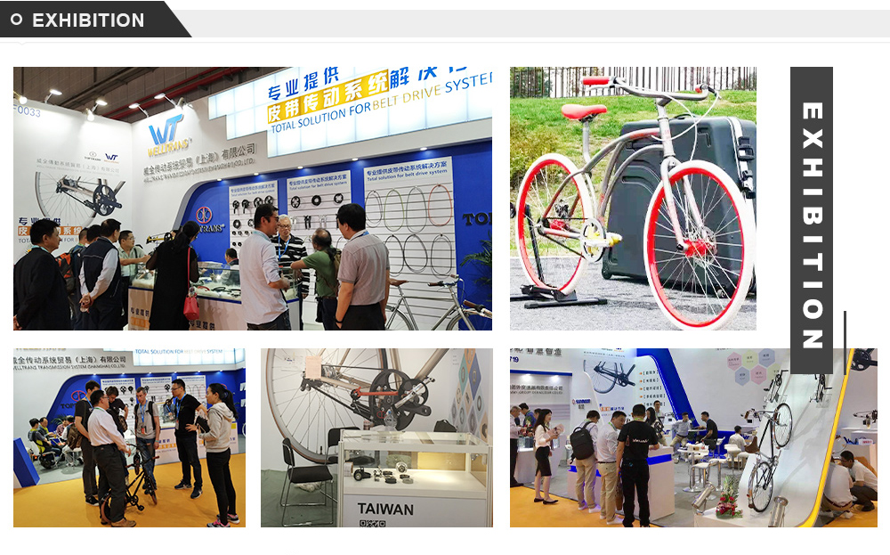 Welltrans Transmission System (Shanghai) Co., Ltd. Transmission Belts